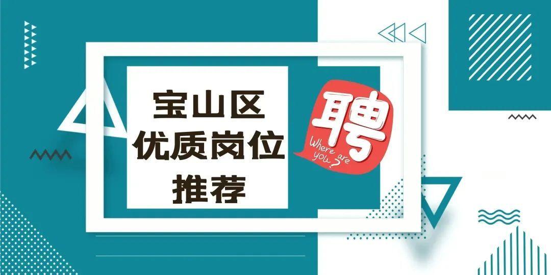 上海宝山区最新招聘动态及其社会影响分析